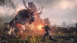 скриншоты The Witcher 3