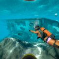 Скриншоты к игре World of Diving